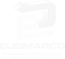 Santos Futebol Clube
